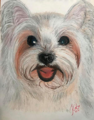 A soft pastel portrait of a shaggy white terrier with its tongue out, on a plain paper ground.