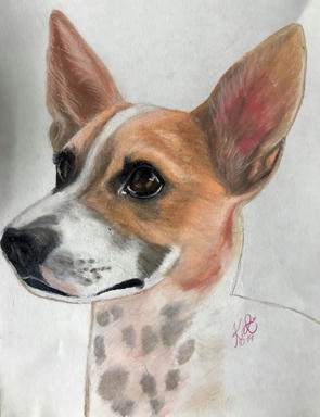 A portrait of a tan-and-white dog with large upright ears and a speckled chest, in three-quarter profile on plain paper.