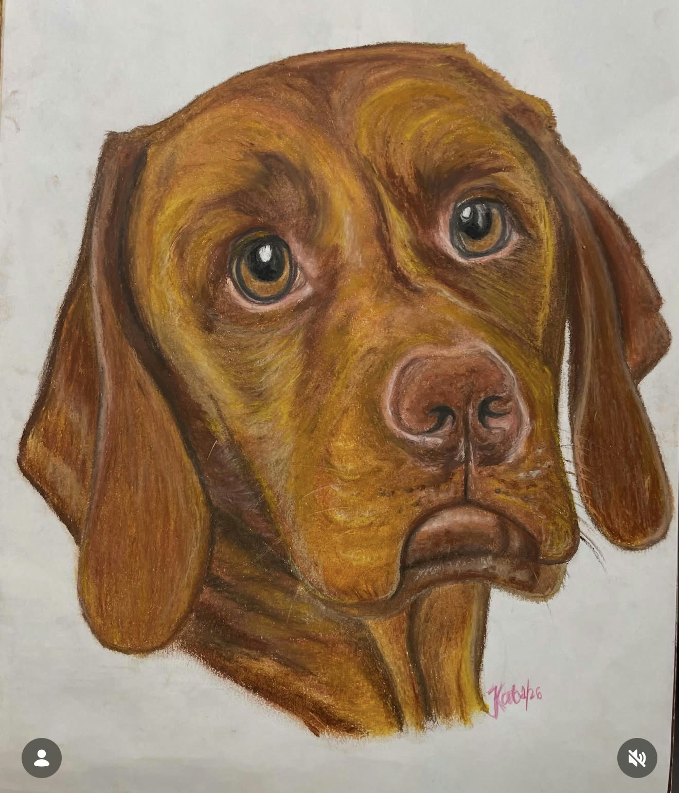 A sample portrait, head and shoulders, on a plain paper ground