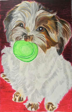 An oil pastel portrait of a small shaggy terrier holding a green ball in its mouth, on a deep red ground.