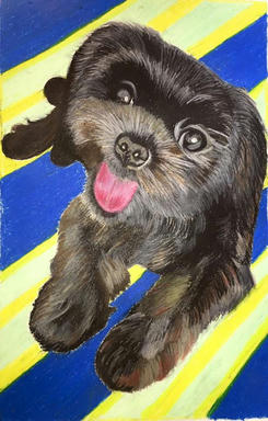 A pastel portrait of a dark brown shaggy puppy looking up at the viewer, on diagonal blue and yellow stripes.
