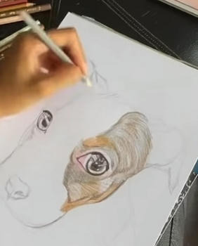 Step 3 of a portrait taking shape, from pencil to finished