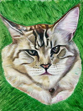 A soft pastel portrait of a tabby cat with narrowed pale eyes and a pink nose, cut out against a flat green ground.