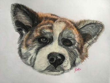 A pastel portrait of a brown-and-white dog with a pale mask and upright ears, looking down and to one side.