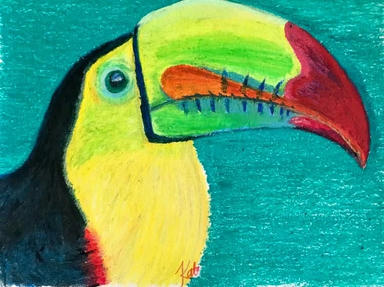 An oil pastel portrait of a toucan in profile, its yellow breast and huge orange-and-red bill against a flat teal ground.