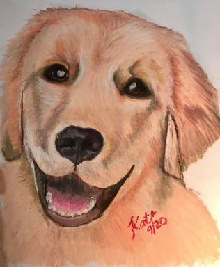 An oil pastel portrait of a golden retriever with its mouth open, filling the sheet, on a warm ground.