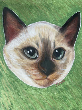 A soft pastel portrait of a Siamese cat with a dark mask and dark ears, cut out against a flat green ground.