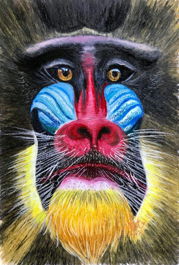 A portrait of a mandrill's face, a crimson stripe down the nose between ridged blue cheeks, framed by a golden beard, against a dark ground.
