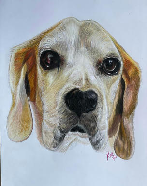 A soft pastel portrait of a beagle with long tan ears and a white blaze down its face, on a pale blue-grey paper ground.