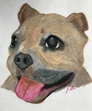 A soft pastel portrait of a fawn dog with a broad dark muzzle and rose ears, tongue out, cut out on plain paper.