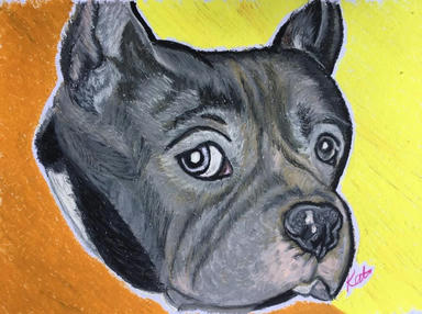 A bold pastel portrait of a grey short-haired dog in three-quarter view, drawn against flat yellow and orange.