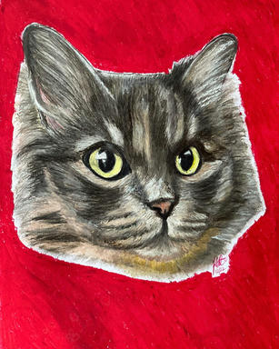 A soft pastel portrait of a grey tabby cat with wide yellow-green eyes, cut out against a flat red ground.