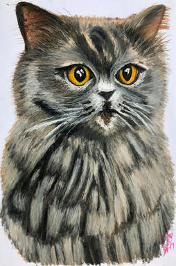 A portrait of a brown tabby cat with round amber eyes and a striped chest, on plain paper.