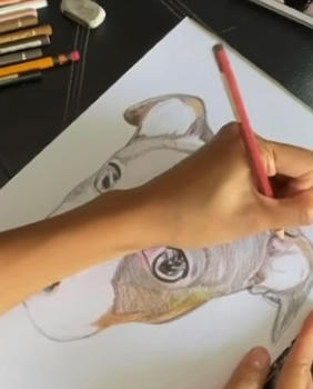 Step 4 of a portrait taking shape, from pencil to finished