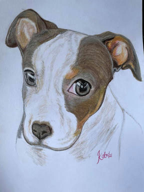 The finished portrait, photographed off the desk: a brown-and-white puppy with one folded ear and a broad white blaze, head tilted, drawn in coloured pencil on white paper.